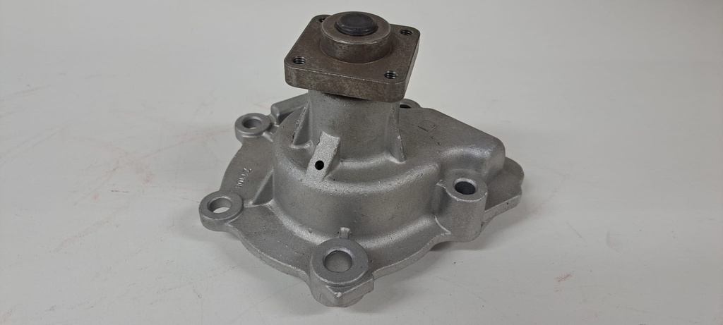 Gereviseerde waterpomp Ford Transit