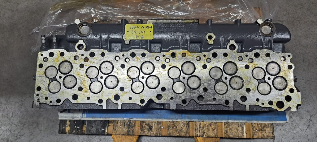 Gereviseerde cilinderkop Iveco cursor C13 ENT F38