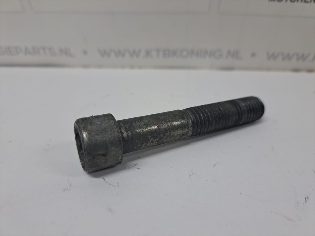 Krukaspoelie bout DAF WS