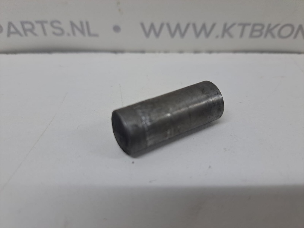 Dowel pin DAF WS