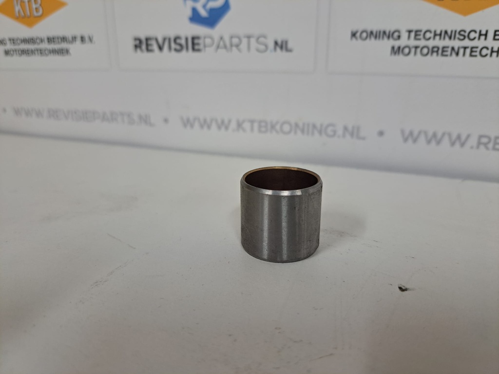 Tuimelaar lager DAF WS
