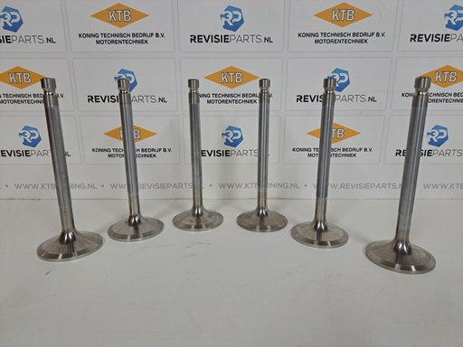 [KTB242253] Intake valve set DAF 1160 DKA