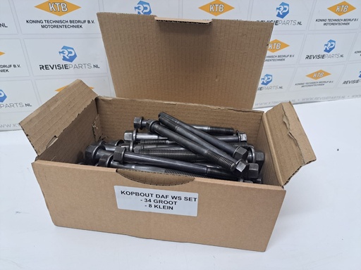 [KTB1698228U] Kopbouten set  DAF WS
