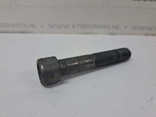 [KTB0325319U] Krukaspoelie bout DAF WS
