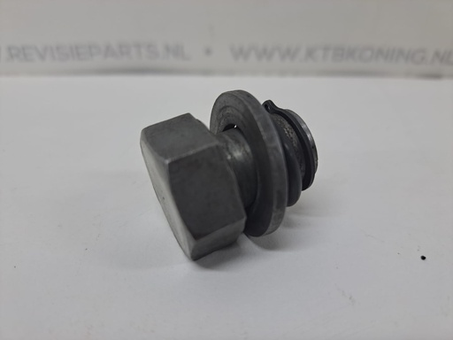[KTB0674647U] Bout kleppendeksel DAF WS