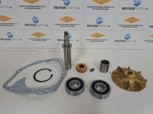 [KTB040103] Waterpomp reparatieset DAF 825