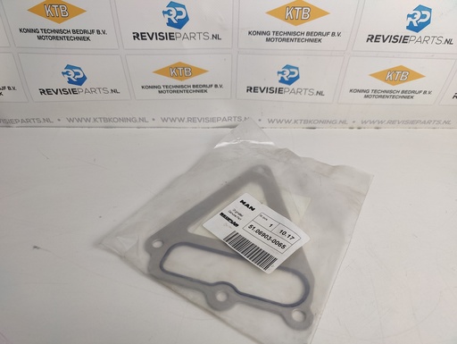 [KTB51069030065] Coolant coupling gasket MAN